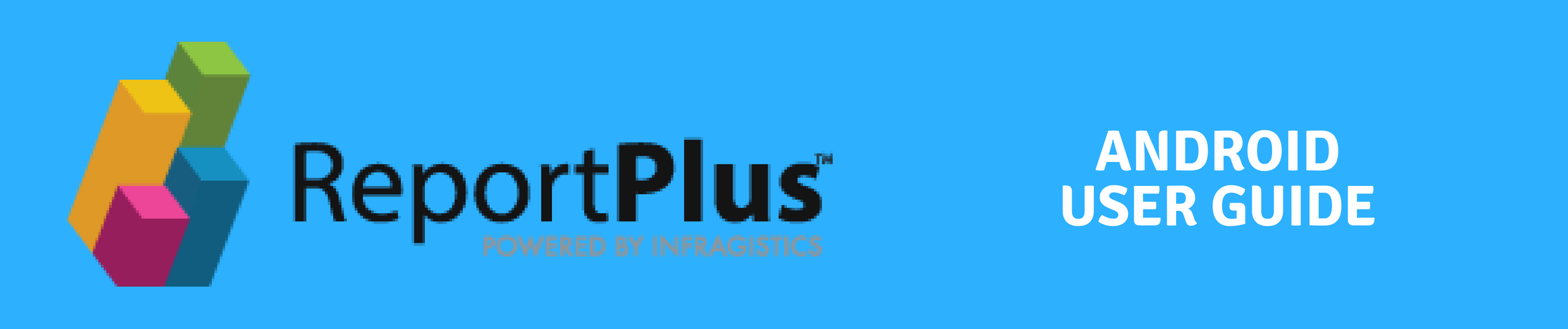 ReportPlus Android User Guide